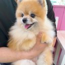 내개로와 이미지