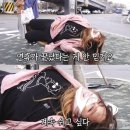 씨엔모 | 가지마 설 연휴