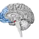 뉴로하모니 사례후기-초등2학년아이