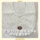 이쁜것들 | 떼떼 오레오 테리빕 후기 | 한 달 기다려 받은 아기 턱받이 내돈내산