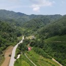 대산임업 - 진부면 | 대산임업