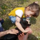 고삼초교병설유치원 네이버블로그