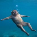 사곡리 | 전남 여수시 소라면 사곡리 산 94해