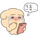서울완치과 이미지