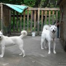 하늘맑은집펜션 이미지