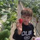 베스트 태권도장 이미지