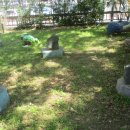 순천남초등학교 이미지