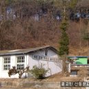 임석목장 Daum카페
