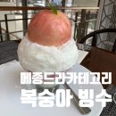 압구정 로데오 카페 메종드라카테고리 복숭아빙수 후기