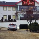 595 | 구월아시아드 맛집 수산동 복사꽃피는집 인천점!