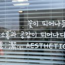 피움결에스테틱 - 원주시 혁신로 262 | 피움결에스테틱