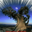 아름다운 사랑이 머무는곳 이미지