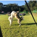 한마음종합동물병원 이미지