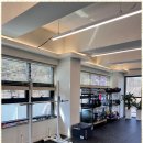 무브 그라운드 이미지