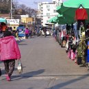 테마-전통5일장-현풍백년도깨비시장 이미지