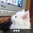 이덕주농장 이미지