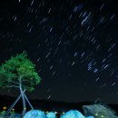 예천늘봄