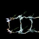 2022 수원연극축제 <숲속의 파티> 이미지