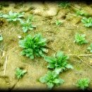 연동농장 이미지