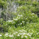 현서축산 이미지