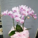 가람하이츠 이미지