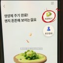 케이테크 | “케이뱅크 앱테크 다 해봤는데 돈나무만 남았습니다”