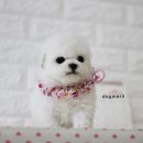 몽글몽글 이미지