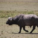 마라천국 이미지