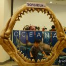 행복수족관 이미지