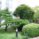 LG5차 공인중개사사무소 이미지