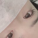 에블린뷰티 | 부천 상동 에블린뷰티 스튜디오 LED속눈썹연장 후기