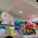 인형뽑기 노리터 이미지