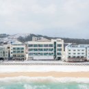 봉포대게찜 게 섯거라 네이버블로그