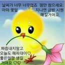 강릉초등학교 이미지
