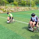 세종고등학교 이미지