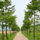 위례강변길 이미지