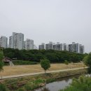 장동833 | (전수조사) 분당 아파트(16) : 임장후기 - 야탑은 퐁퐁남의 도시
