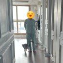 고모야 Daum카페