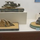 덕소자연사박물관 이미지