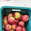 태송농원 이미지