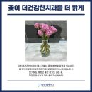 더건강한