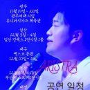 GOGO(고고)투어