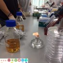배지 티스토리