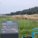 제주 올레길 10코스 이미지