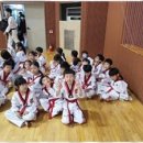경희대성빈태권도 이미지