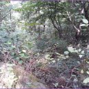 당정골계곡 이미지