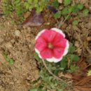 현산면사무소2층회의실 이미지