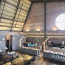 마고플레인 이미지