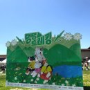 트레킹 강형욱 훈련사님과 함께하는 트레킹 3km 코스 생생 후기 (포토타임, 참가비, 숙소, 난이도, 사은품)