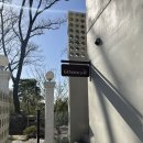 까사엘보스께 이미지